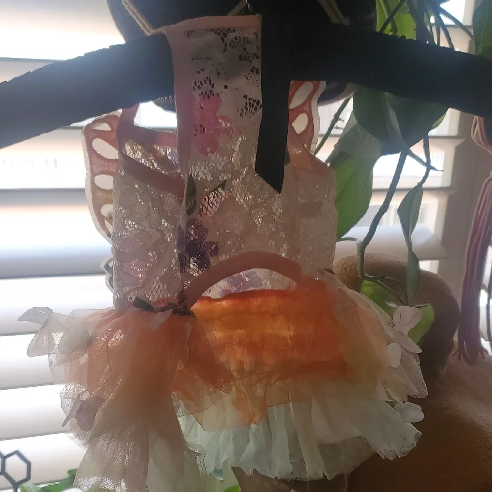 Colorful Butterfly Dog/ Cat Dress
